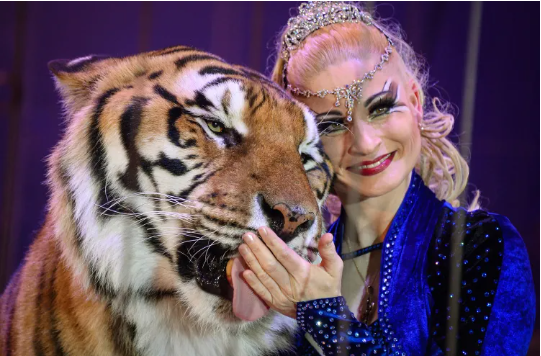 Carmen Zander and a tiger in 2015.