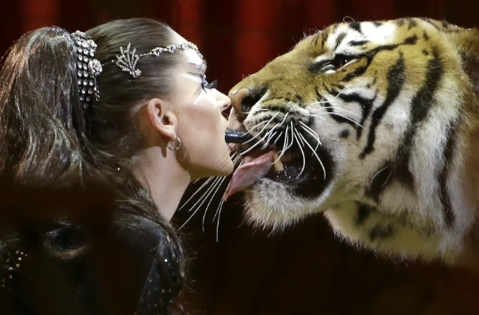 Carmen Zander and a tiger in 2018.