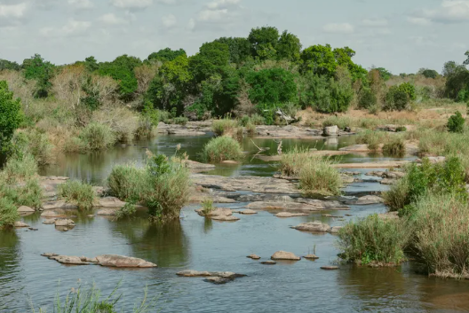 Kruger National Park in South Africa.