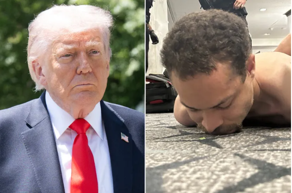 President Donald Trump; Cole Allen