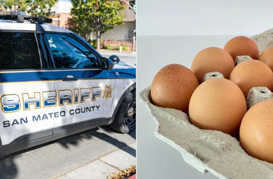 Stock photos of a San Mateo County Sheriff vehicle and eggs in a carton.