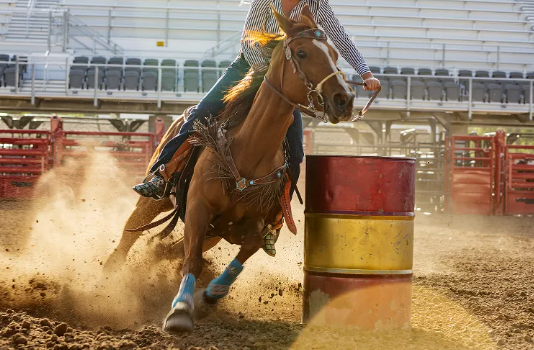 Stock photo of horse barrel racing.